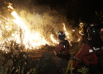 Se han realizado labores de ataque directo con apoyo de autobomba, vigilancia y consolidación de perímetro.