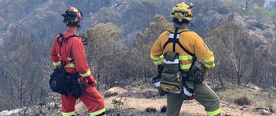La UME colabora en la extinción del incendio forestal en Los Garres