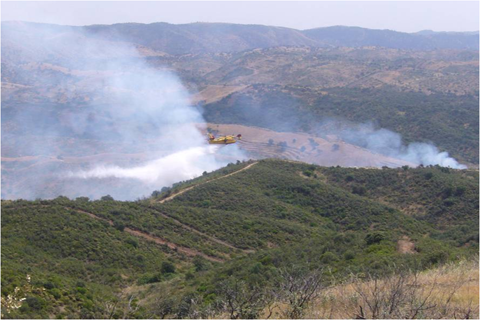 Medios aéreos del 43 Grupo del Ejército del Aire participaron en el ejercicio