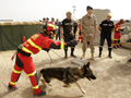 Búsqueda y rescate con equipo cinológico