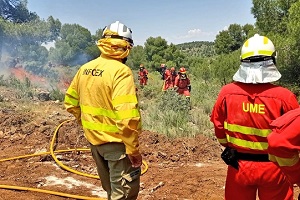 En los ejercicios de las distintas unidades de la UME se han realizado prácticas conjuntas con personal de los distintos servicios de exticnción