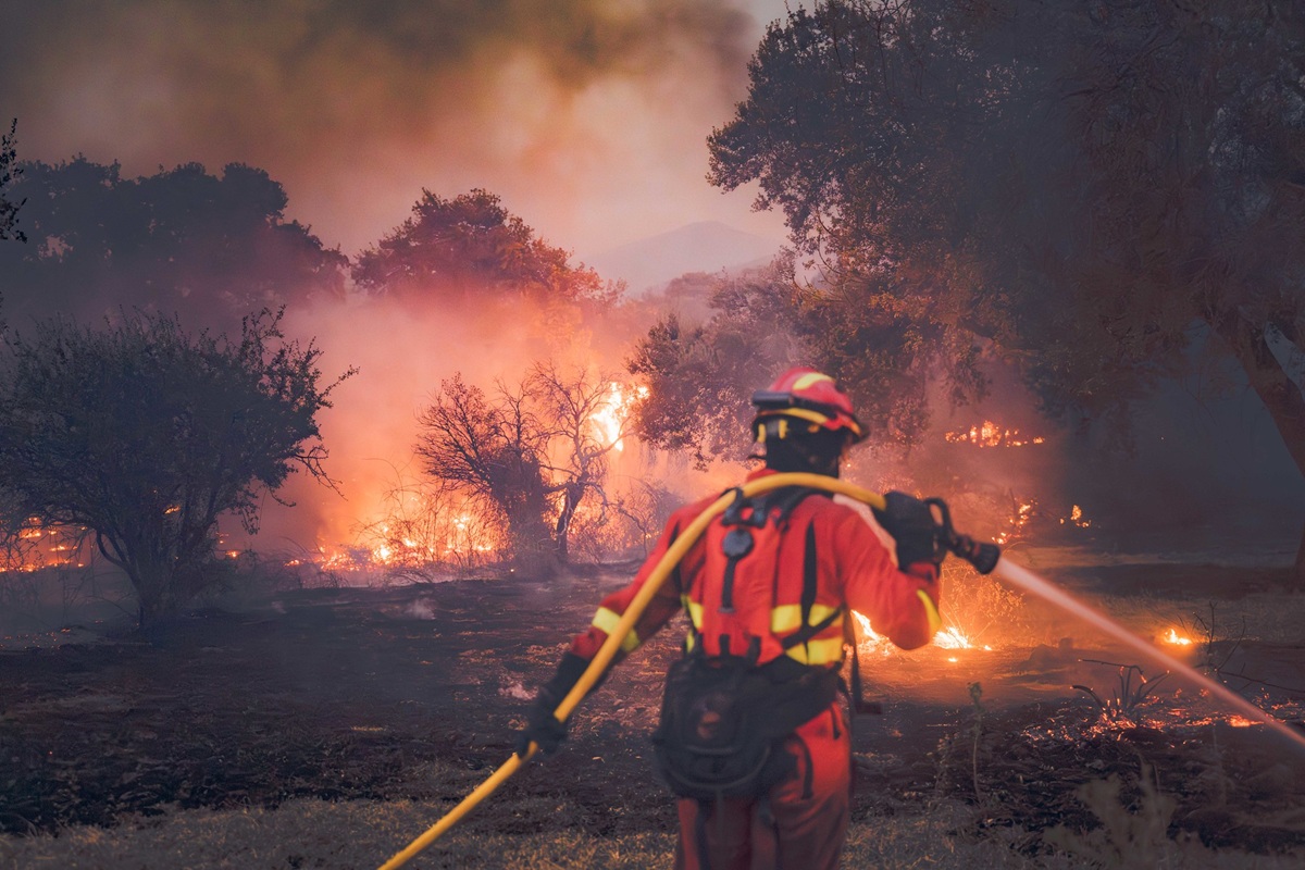 La UME ha participado en la extinci&oacute;n de 57 incendios forestales