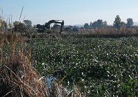 Un total de 120 militares de la UME con 70 medios colaboran en las labores de extracción