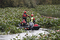 Intervención Camalote